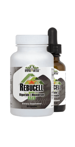 Rebucell Vigorate/Membrane 90 Capsules 